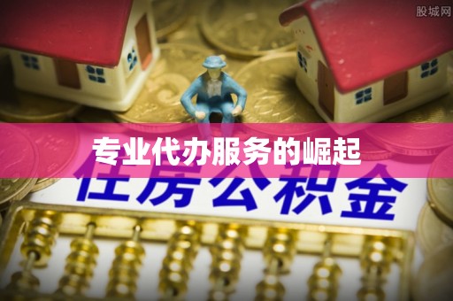 邵阳县专业代办服务的崛起